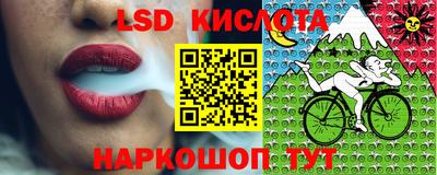 гашик Тула
