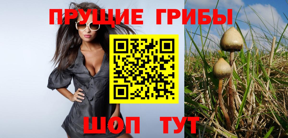 Ковров  закладки  Вход с VPN  Галлюциногенные грибы Psilocybine cubensis 